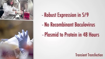 Aldevron Protein Production in Insect Cells