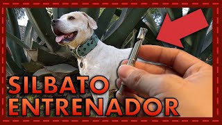 Is your dog disobeying? Try this training whistle and be amazed! 🐶📣 screenshot 3