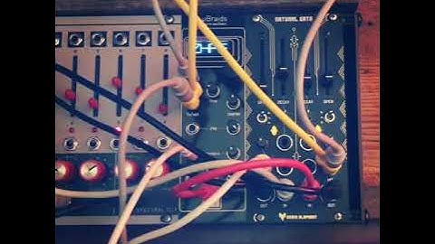 Rabid Elephant Natural Gate First Quick Patch