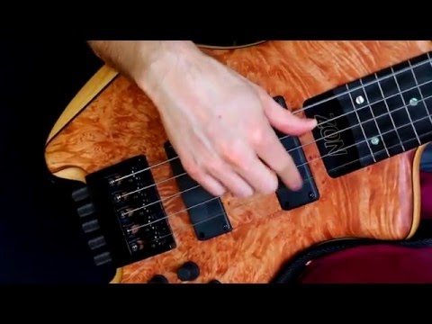 adele-'hello'---fretless-bass---zander-zon