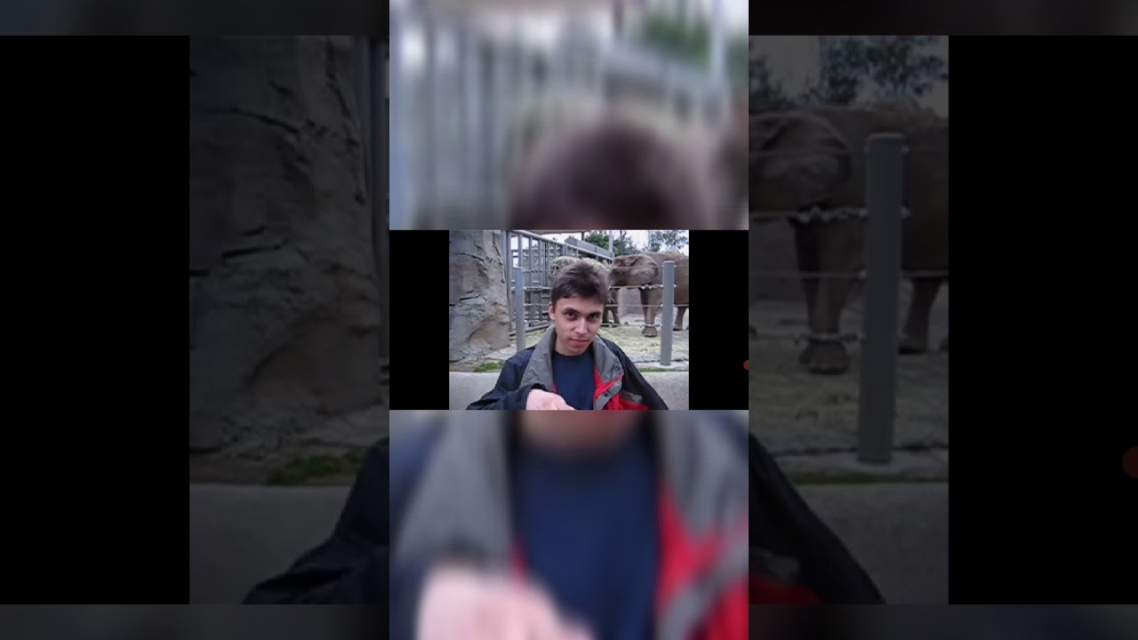 The first video uploaded on youtube 15 years ago || Jawed karim (Me at ...