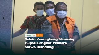 Selain Kerangkeng Manusia, Bupati Langkat Pelihara Satwa Dilindungi