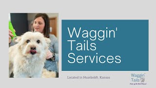Waggin Tails - What Services Do We Offer