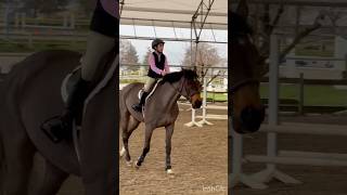 Rainy Day Hack! 🌧️🐴✨ #horse #equestrian #horsegirl #horseriding #mare #barnlife #viral