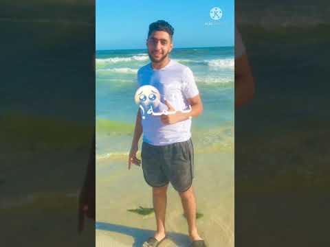 حالة واتس ع الفون كتبته اخويا عصام صاصا