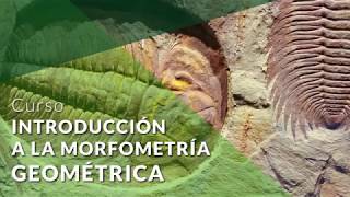 Curso Introducción a la Morfometría Geométrica
