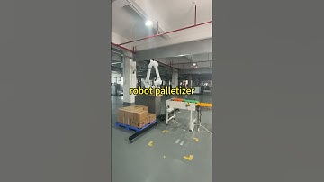 robot palletizer #palletizer #palletizing #robot