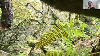 Plantlife's work in temperate rainforests Temperate Rainforests Of The Uk