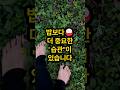 🌿 혈당 낮추는 습관, 맨발걷기부터 시작하세요 – 맨발걷기와 혈당 관리| 생활 속 당뇨 예방법ㅣ중년 건강정보ㅣ하루백세건강TV