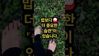 🌿 혈당 낮추는 습관, 맨발걷기부터 시작하세요 – 맨발걷기와 혈당 관리| 생활 속 당뇨 예방법ㅣ중년 건강정보ㅣ하루백세건강TV