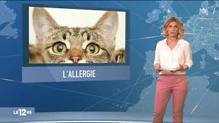 Un vaccin contre l'allergie aux poils de chats bientôt disponible