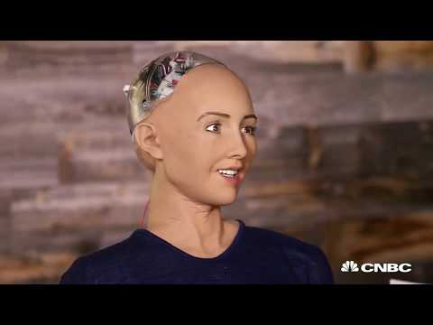 Artificial intelligence and Robotics: Dream or Nightmare for The Global Economy?