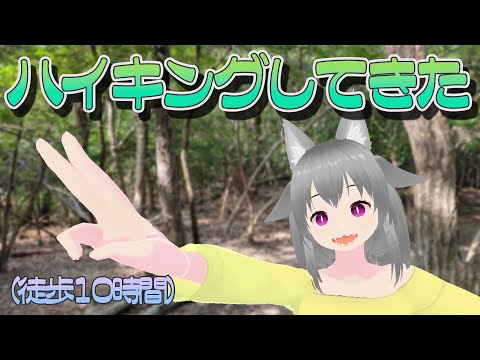 【雑談】初めてこんなに歩いたハイキングでした【狐雲ハイネ/Vtuber】