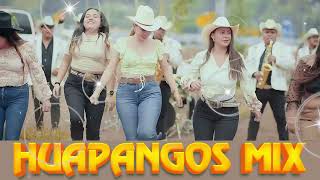 HUAPANGOS Pa BAILAR 🔥Popurri De Huapangos🔥cumbias para bailar 🔥Los Avila- La Kumbre Con K, Los Rugar