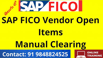 తెలుగులో శాప్ ఫీకో ట్రైనింగ్  | SAP FICO Vendor  Open Items Manual Clearing | SAP FICO IN TELUGU