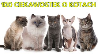 CIEKAWOSTKI O KOTACH, NAJCIEKAWSZE FAKTY O KOTACH by Kocie Sprawy 701 views 4 months ago 12 minutes, 42 seconds