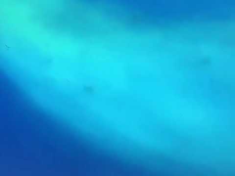 Finding Nemo righteous in horrible noise