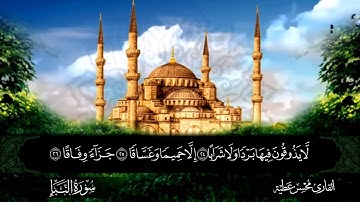 سورة النبأ || للقارئ محسن عطية 
