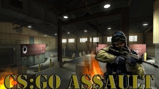 CS:GO | Assault Grenade ''Bug''