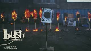 BUSH Celebrates 30 Years Of 'Razorblade Suitcase' With Deluxe