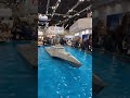 USS Independence RC Warship in Water Tank Exhibition 🤯