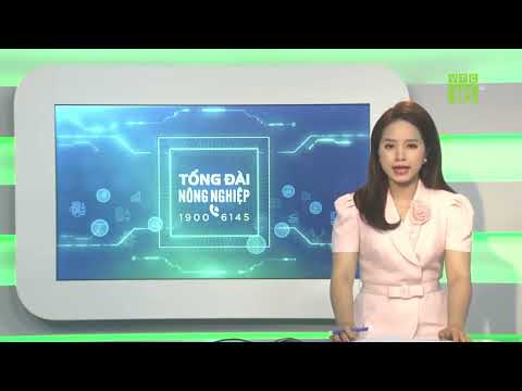 [VTC 16] Sử dụng hiệu quả Men vi sinh trong nuôi thủy sản