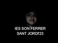 IES SON FERRER: SALINAS