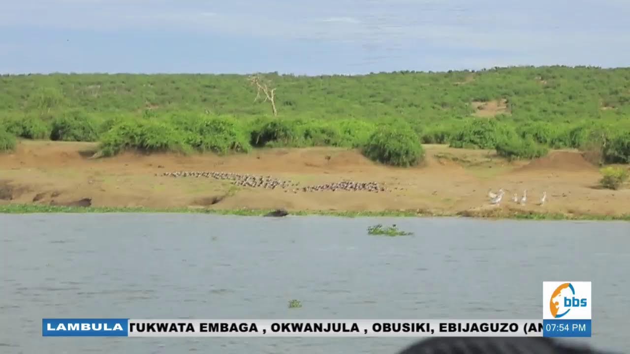 #BBSLambula |  Pennie Nantume