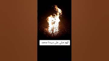 #قران_كريم #تلاوة_خاشعة #ياسر_الدوسري #راحة_نفسية