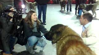 Kavkasiuri Nagazi 3 Mcxetis Raioni Sopeli Cixisziri So 777 In