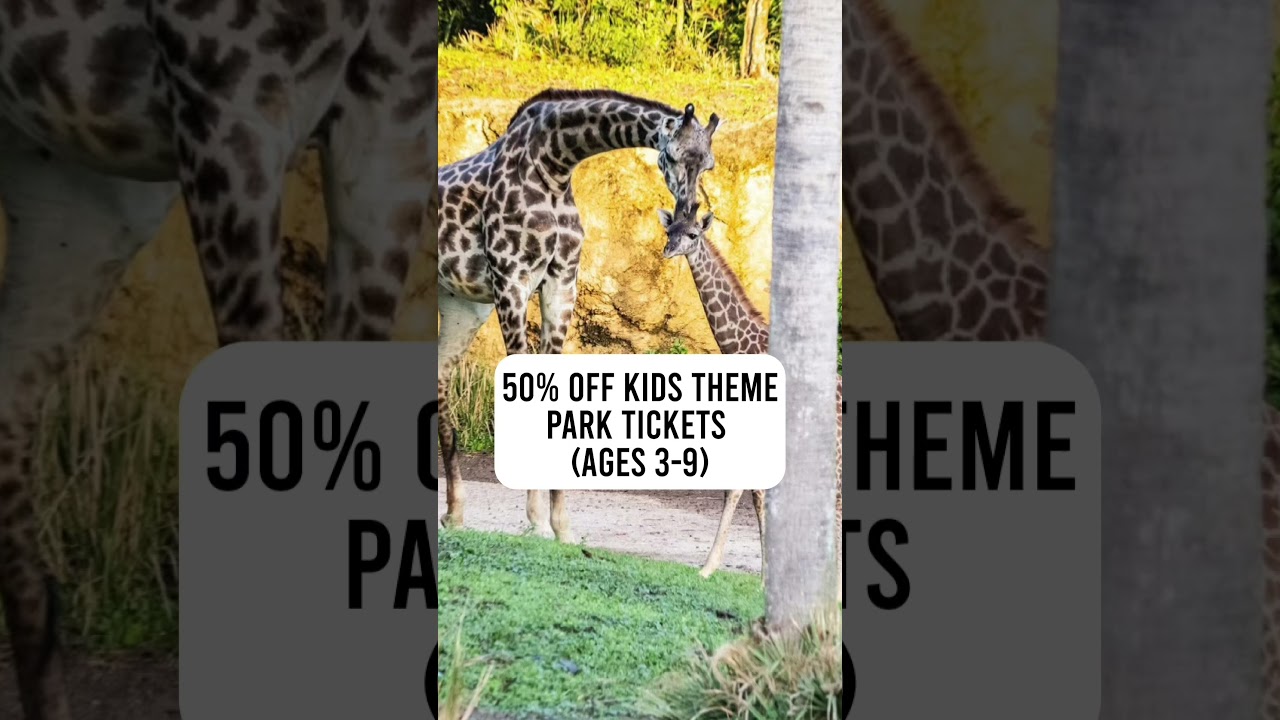 Save money at Disney World this summer!!