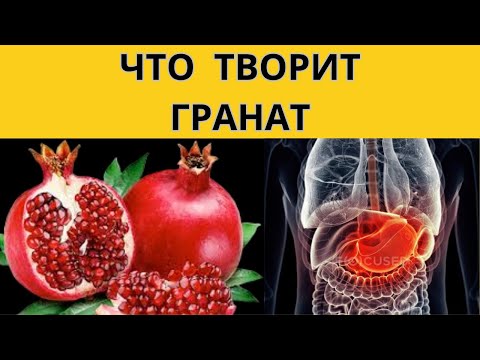 ЧТО ТВОРИТ ГРАНАТ, Секреты ЗДОРОВЬЯ: Гранат и Его Суперспособности #здоровье #гранат #питание