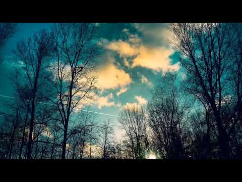 Puiu Chibici –