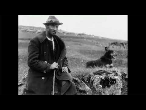 Oskar Fischinger Walking From Munich To Berlin Excerpt 