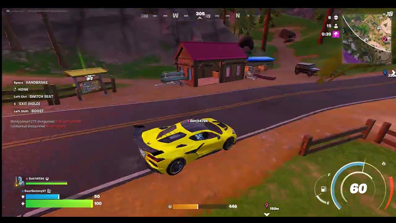 Victory Royale using mostly the Ark lightning gun