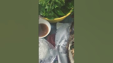 mời cả nhà ăn cá lóc nướng