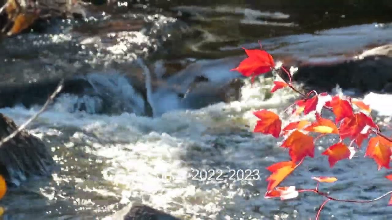 CODES 2022  | CÓDIGOS 2022 | КОДЫ 2022