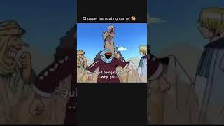 Chopper translates a camel 😂 #onepiece #chopper #luffy #ytshorts #anime