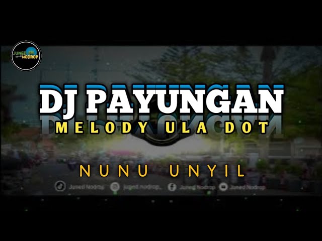 DJ PAYUNGAN X MELODY ULA DOT [BOOTLEG] class=