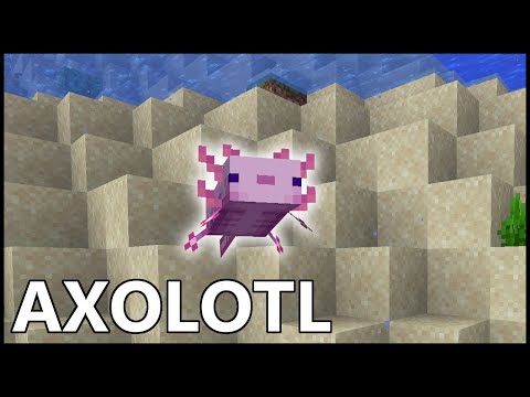 How To Get AXOLOTL In MINECRAFT