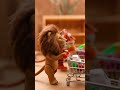 Tiny Grocery Shopping… with a Lion and a Tiger