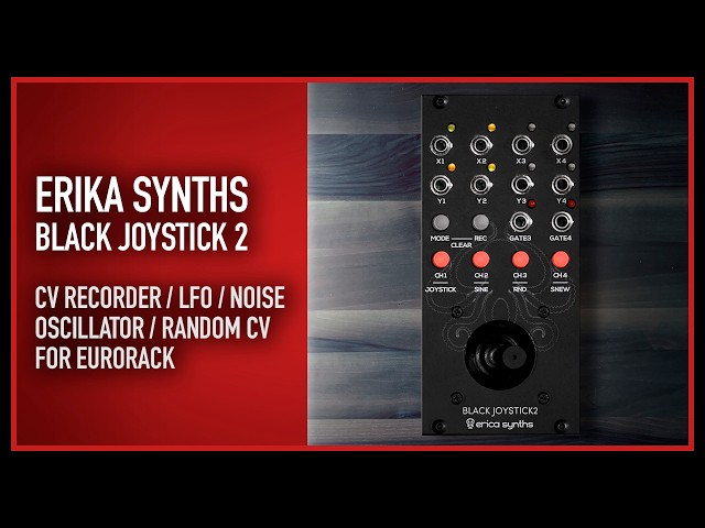 Erica Synths - Black Joystick 2 | automate your modulation for