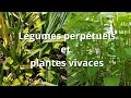 Plus de lgumes perptuels de plantes vivaces pour moins de travail au jardin