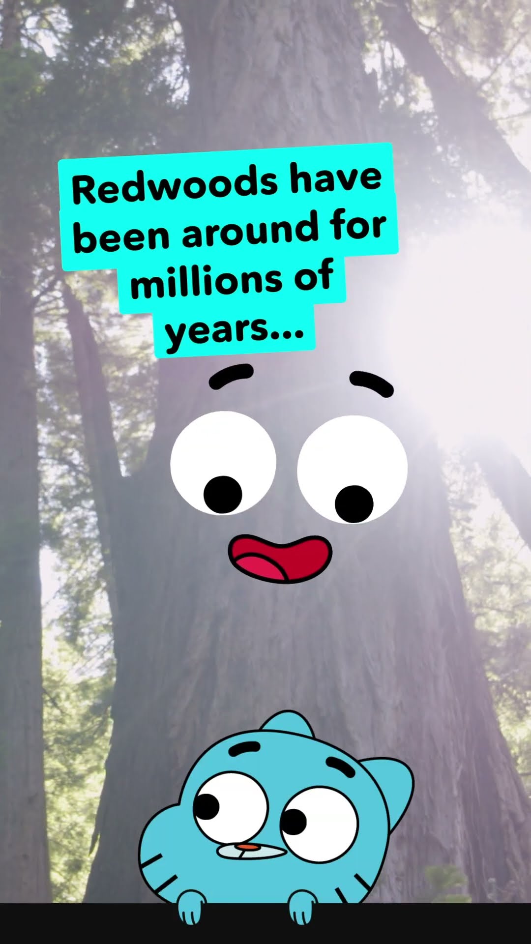 WOW: The Tallest Trees | Climate Champions | Cartoon Network UK | #shorts #CartoonNetwork #Wildlife