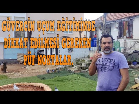 GÜVERCİN UÇURMA HAVADA ÇALIŞAN KUŞLARIMIZI BADİ YAPMA UÇUM SÜRESİNİ UZATMA