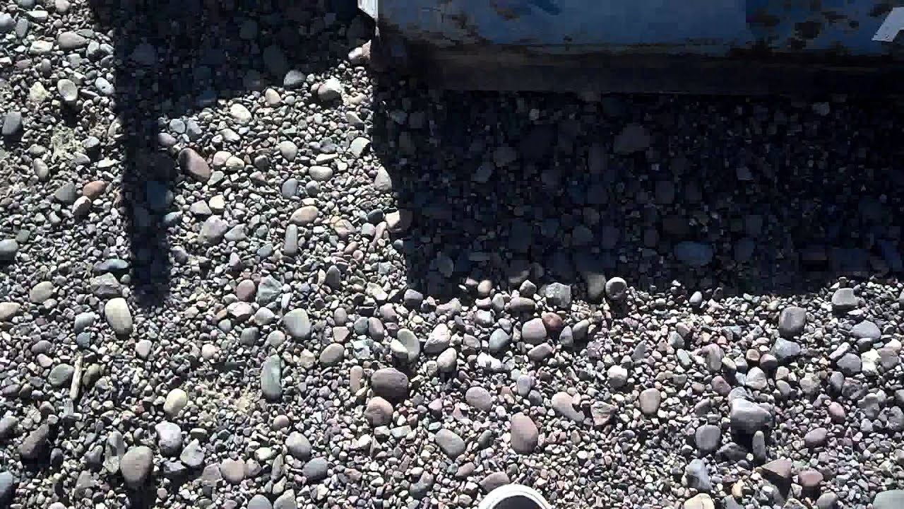 Auction of Phoenix, Arizona's Siren System Tour