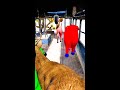 Animal Pro 7 Cow Superhero Game 3D - Animal Spiderman Rescue Batman vs Venom 2026 ( Funny GTA 5 )