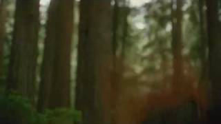 The Twilight Saga New Moon Official TV Spot