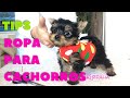 Cómo hacer ropita para cachorros 🐶 reciclando (Tips)