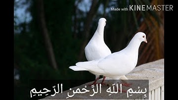 وَإِذَا قُرِئَ الْقُرْآنُ فَاسْتَمِعُوا لَهُ وَأَنصِتُوا لَعَلَّكُمْ تُرْحَمُونَ (204)سورة الأعراف